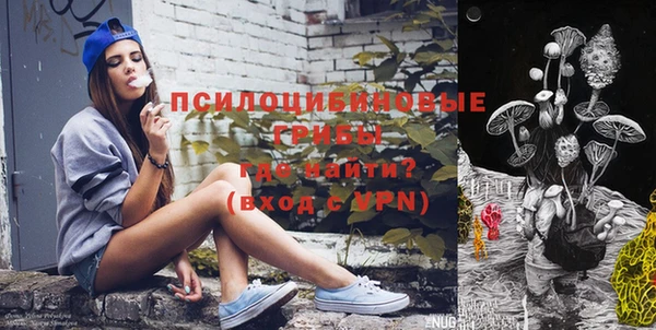 прущие грибы Армянск