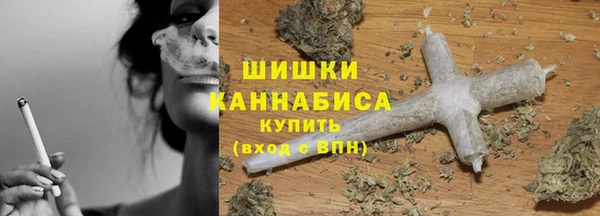 прущие грибы Армянск