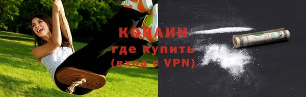 прущие грибы Армянск