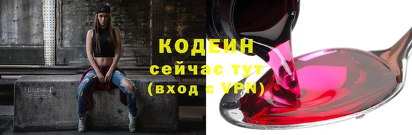 прущие грибы Армянск