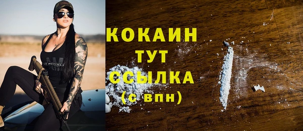спиды Арсеньев