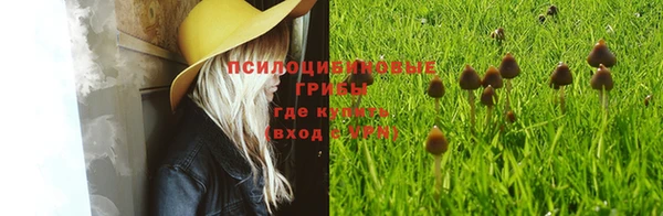 меф Протвино