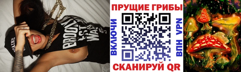 где купить наркоту  Дыгулыбгей  Галлюциногенные грибы мицелий 